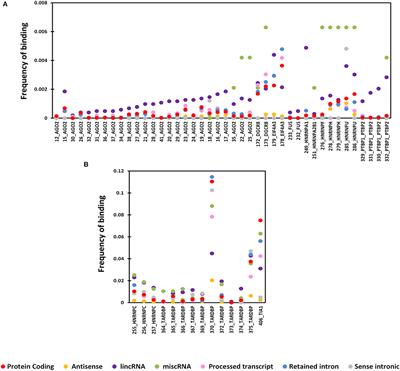 Distinct and Modular Organization of Protein Interacting Sites in Long Non-coding RNAs